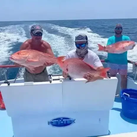 Catch It Fishing Charters & Tours Header Image of 3 men holding fresh caught fish from a fishing trip in PCB | Catch It Fishing Charters & Tours in Panama City Beach offers family friendly, deep sea fishing trips ranging from 3 hours to 12 hours, and dolphin tours and sightseeing boat tours along the Gulf Coast.